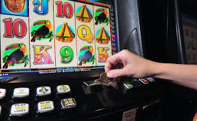Strategy Pokie Selection That Keeps You on the Leaderboard.